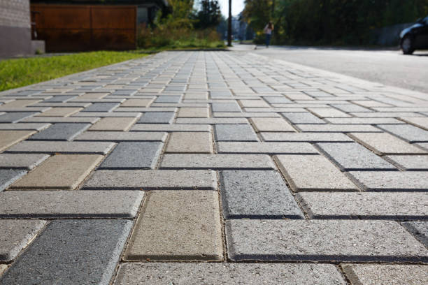 Best Driveway Paver Repair  in Camden, NJ