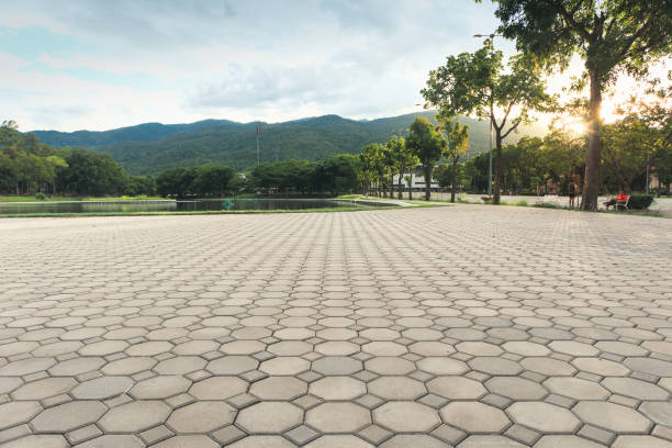 Best Driveway Pavers Cost  in Camden, NJ