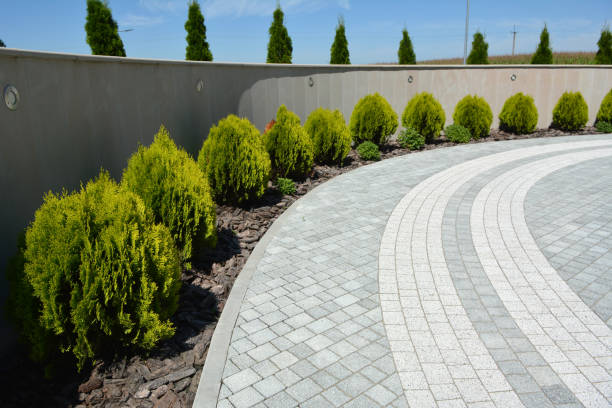 Best Driveway Paving Contractor  in Camden, NJ