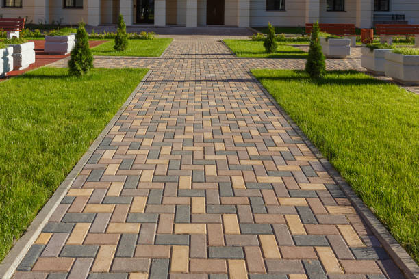 Best Driveway Pavers Near Me  in Camden, NJ